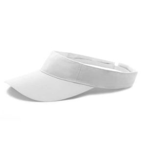VISERA