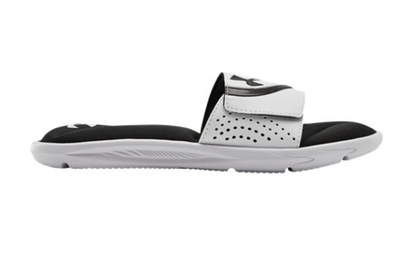 IGNITE VI