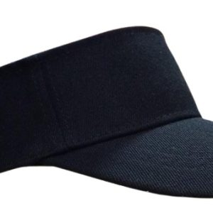 VISERA